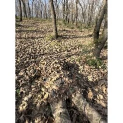 KMCS Ghillie Cloak - DEFCON AIRSOFT -Airsoft Equipment Shop DJI 20231227 151333 914 700X933