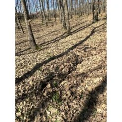 KMCS Ghillie Suit 4.1 Dark Forest Floor - DEFCON AIRSOFT -Airsoft Equipment Shop DJI 20240207 141333 536 SCALED